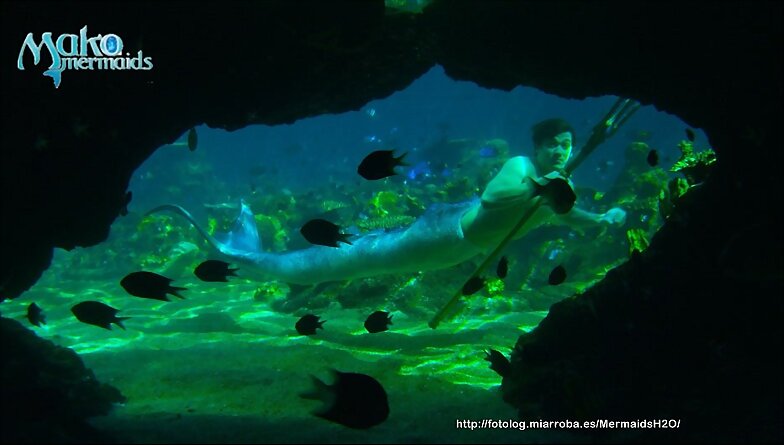 Zac de Mako Mermaids