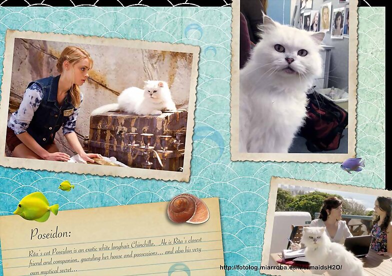El gato Poseidon (gato de Rita en Mako Mermaids)