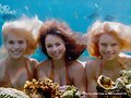 Sirena, Nixie y Lyla de Mako Mermaids