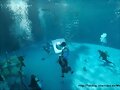 Rodaje H2O Just Add Water 3&ordf; temporada
