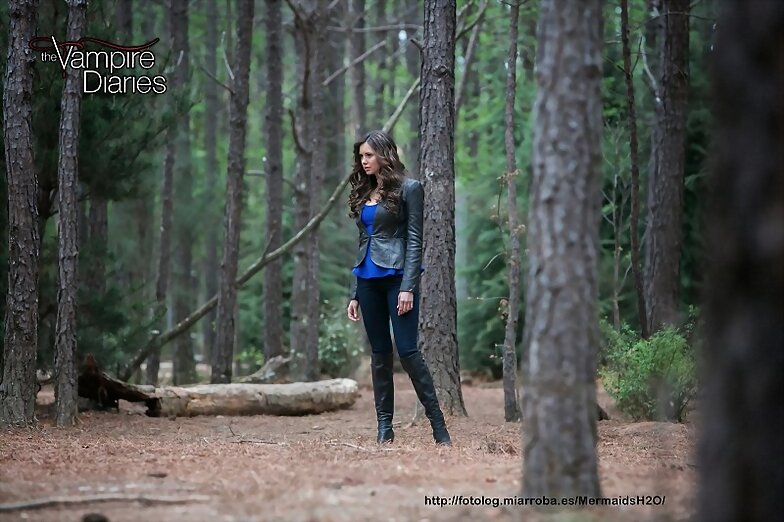 Crónicas Vampíricas 4x22 The Walking Dead