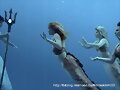 Mako Mermaids