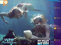 Calendario Mako Mermaids Setiembre de 2013