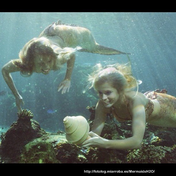 Mako Mermaids: Lyla y Sirena