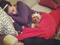 Phoebe Tonkin con su perrita Lola