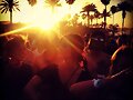 Phoebe Tonkin en Coachella