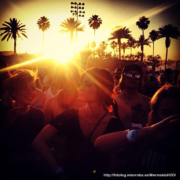 Phoebe Tonkin en Coachella