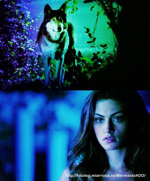 Phoebe Tonkin como Hayley en The Originals