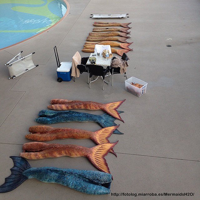 Las colas de H2O y Mako Mermaids