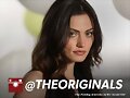 Phoebe Tonkin en The Originals. Sigue en instagram