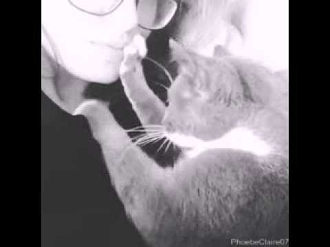 Phoebe Tonkin - Two best friends