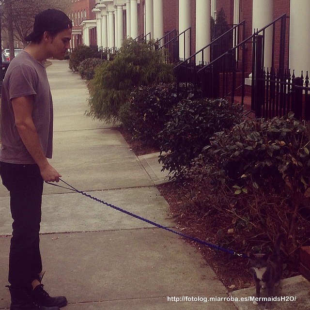 Paul Wesley, el novio de Phoebe Tonkin con su gato