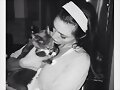 Phoebe Tonkin con su Gato y de novio Paul Wesley