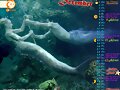 Calendario Mako Mermaids de Diciembre de 2014