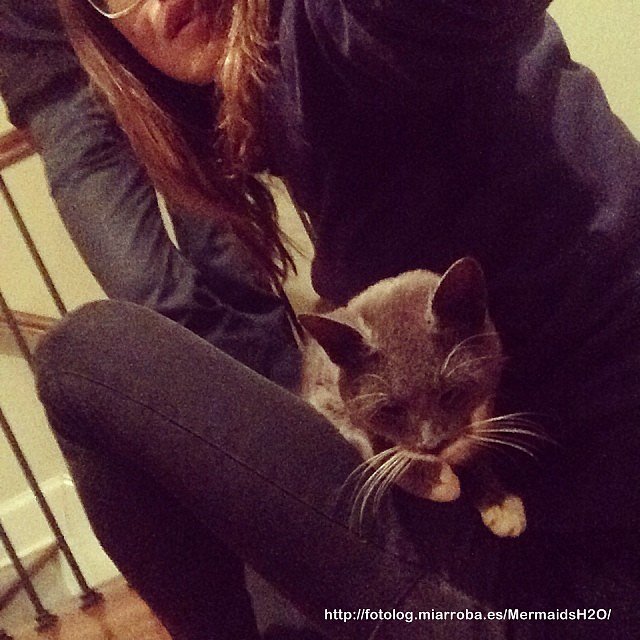 Phoebe Tonkin con su Gato y de novio Paul Wesley
