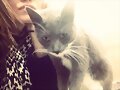 Phoebe Tonkin con su Gato y de su novio Paul