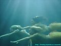 Rikki Cleo y Bella nadando