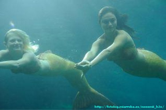 Rikki y Cleo nadando por el arrecife