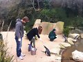 Luke Mitchell &amp; Rebecca Breeds - Dublin Zoo 2013