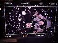 The Originals 2x14 Behind the scenes Phoebe Tonkin