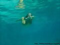 Bella Hartley nadando por el mar