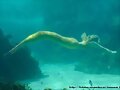 Bella Hartley nadando por el mar