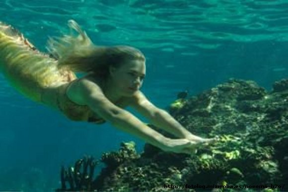 Bella Hartley nadando por el mar