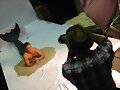 Alex Cubis - Mako Mermaids Season 2 photo shoot