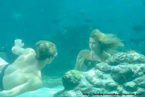 Bella y Will nadando