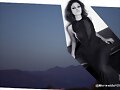 Phoebe Tonkin - &#039;ELLERY&#039; Campaign 2012