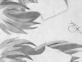 Shaoran and Sakura Peli