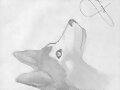 Lobo