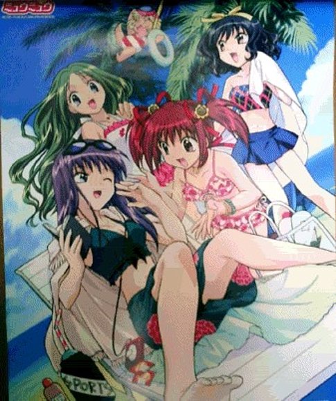 tokyo mew mew