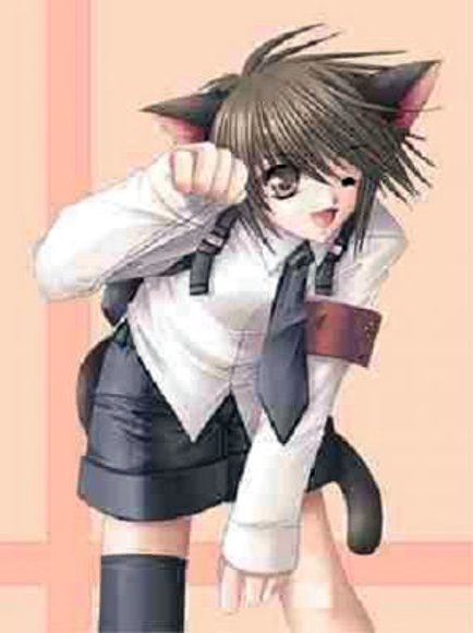 cat boy
