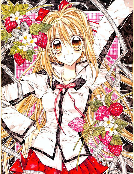Shinshi Doumei Cross