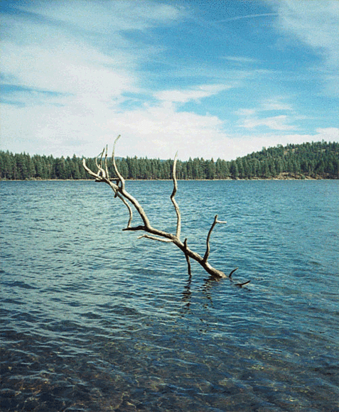 lago