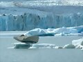 argentina 4