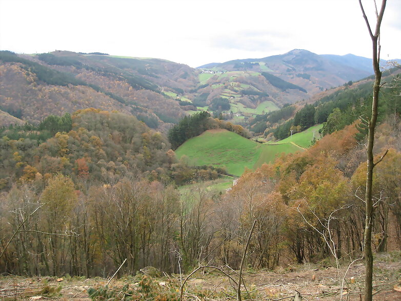 Paisaje de El Prado tineo