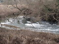 rio taju&ntilde;a