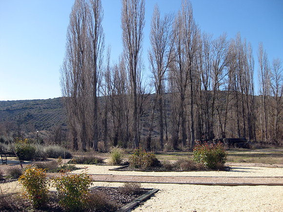 jardin