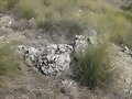 PIEDRA