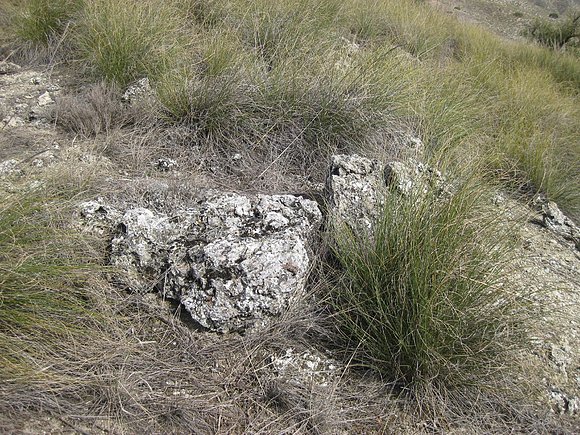 PIEDRA