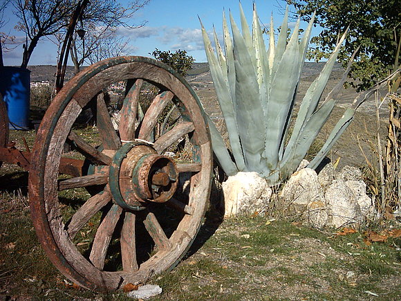mi jardin