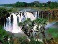 catarata