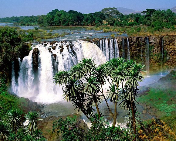 catarata