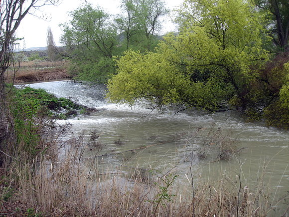 rio tajuña