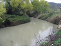 rio taju&ntilde;a