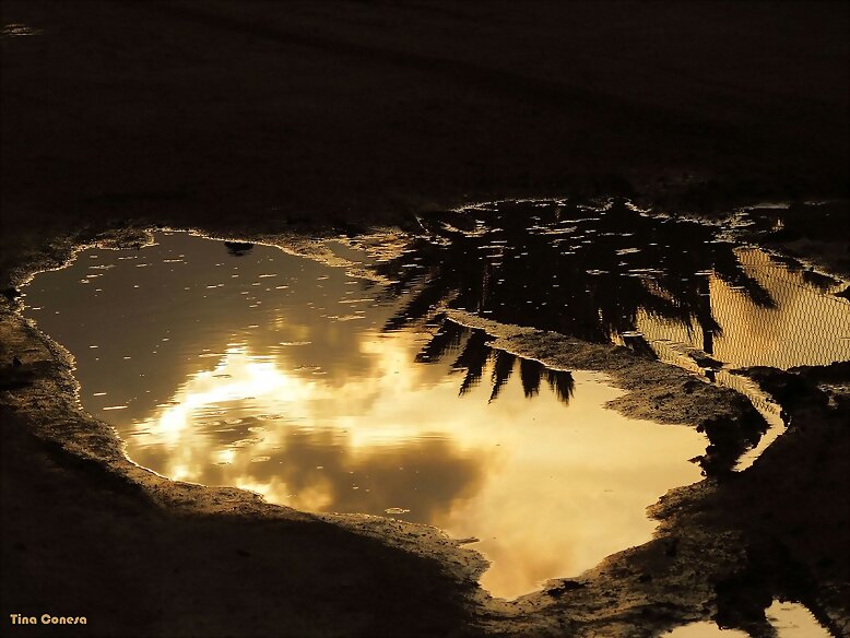 Charco en La Azohía