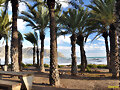 La Azoh&iacute;a (Cartagena) 10/3/2013