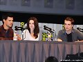 Comic Con 2011